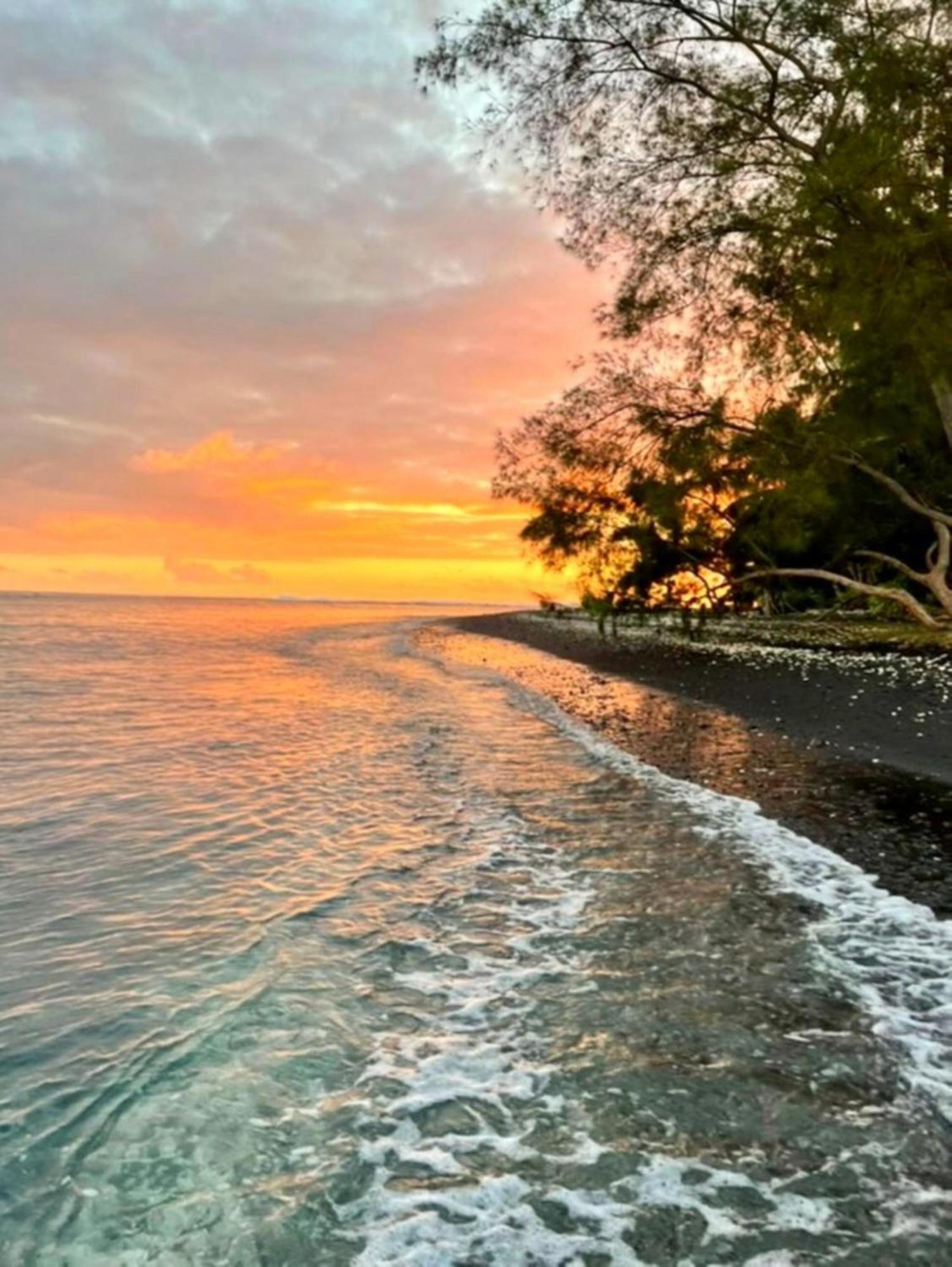 Tahiti - Mango Lodge Hotu Papara ภายนอก รูปภาพ